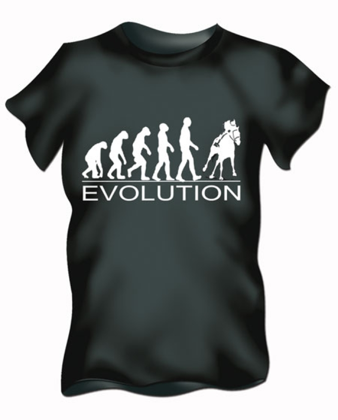 Evolution Reiten
