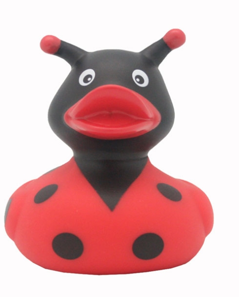 Ente Marienkäfer