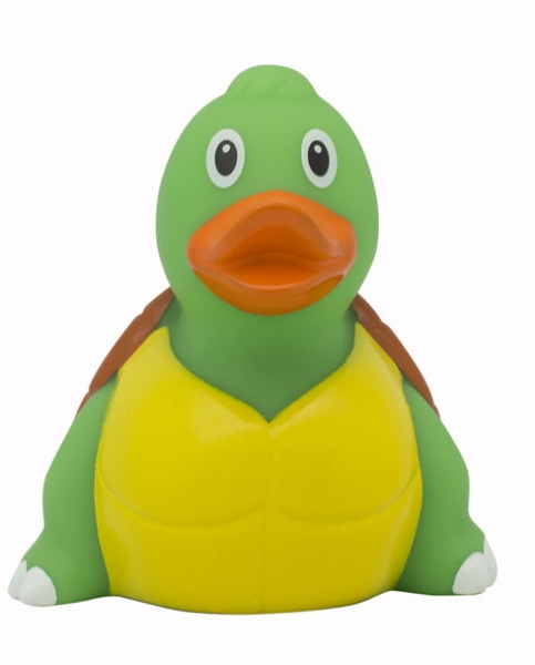 Ente Schildkröte