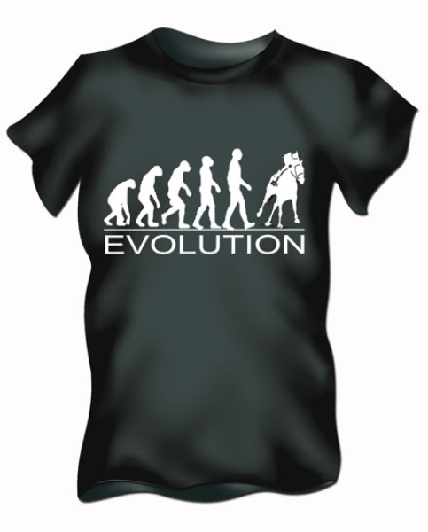 Evolution Reiten