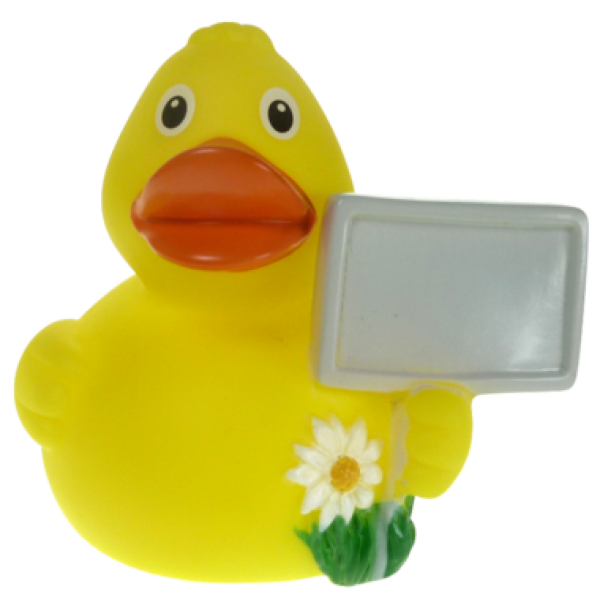 Ente Stadt Infoente 8 cm